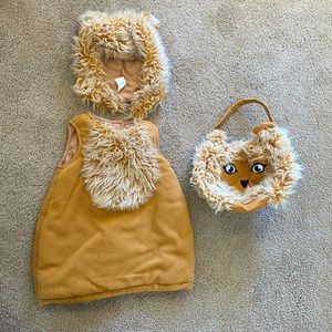 Pottery Barn Kids Lion Costume